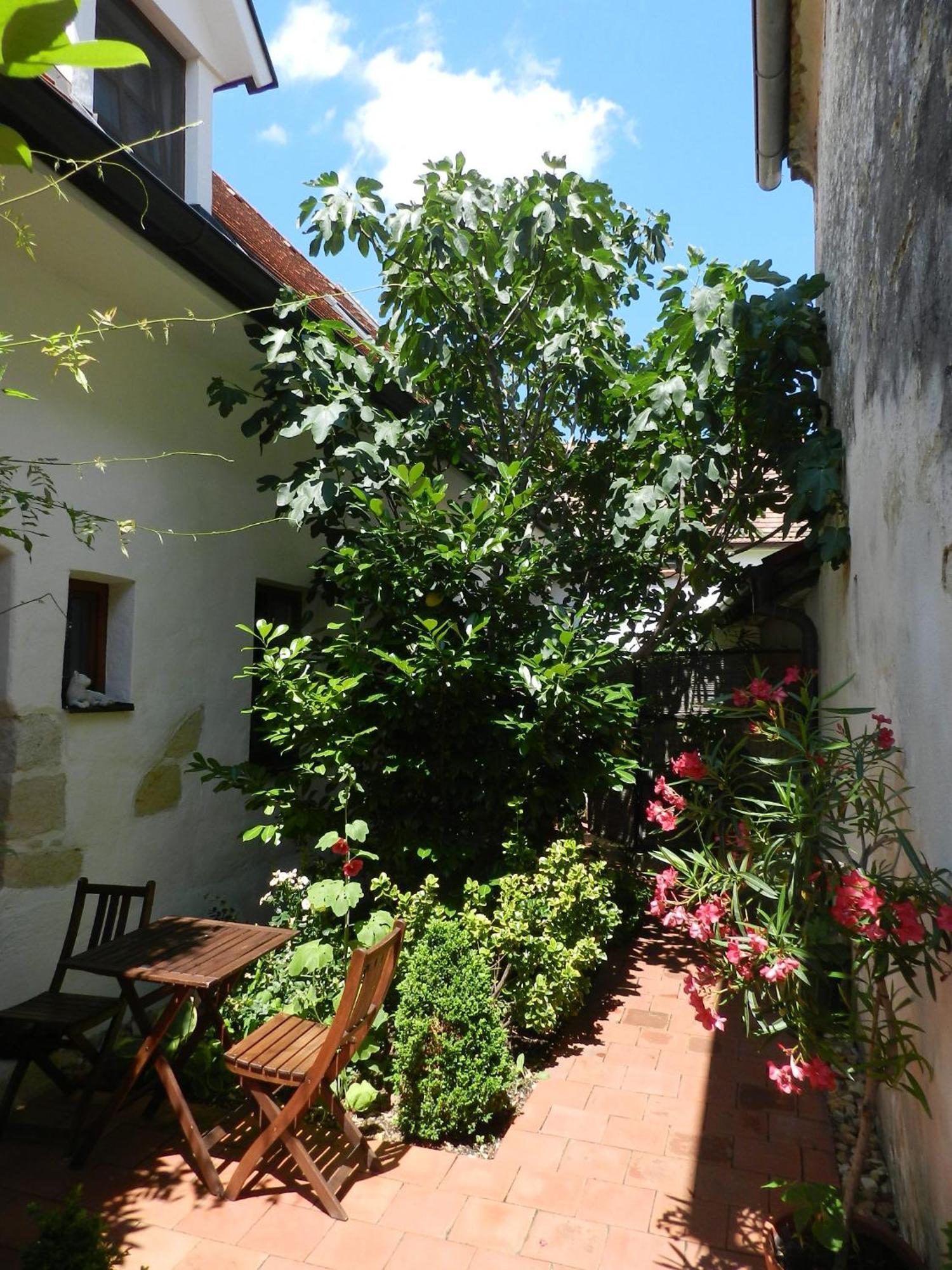 Casa.Peiso Apartment Moerbisch Am See Ngoại thất bức ảnh