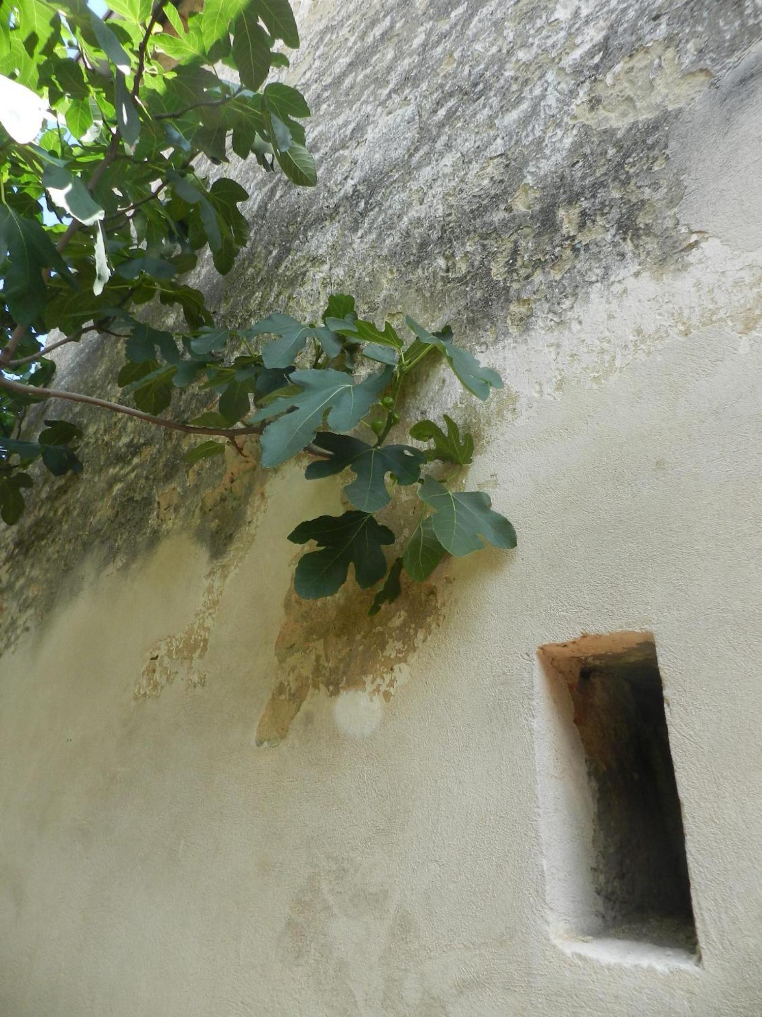 Casa.Peiso Apartment Moerbisch Am See Ngoại thất bức ảnh